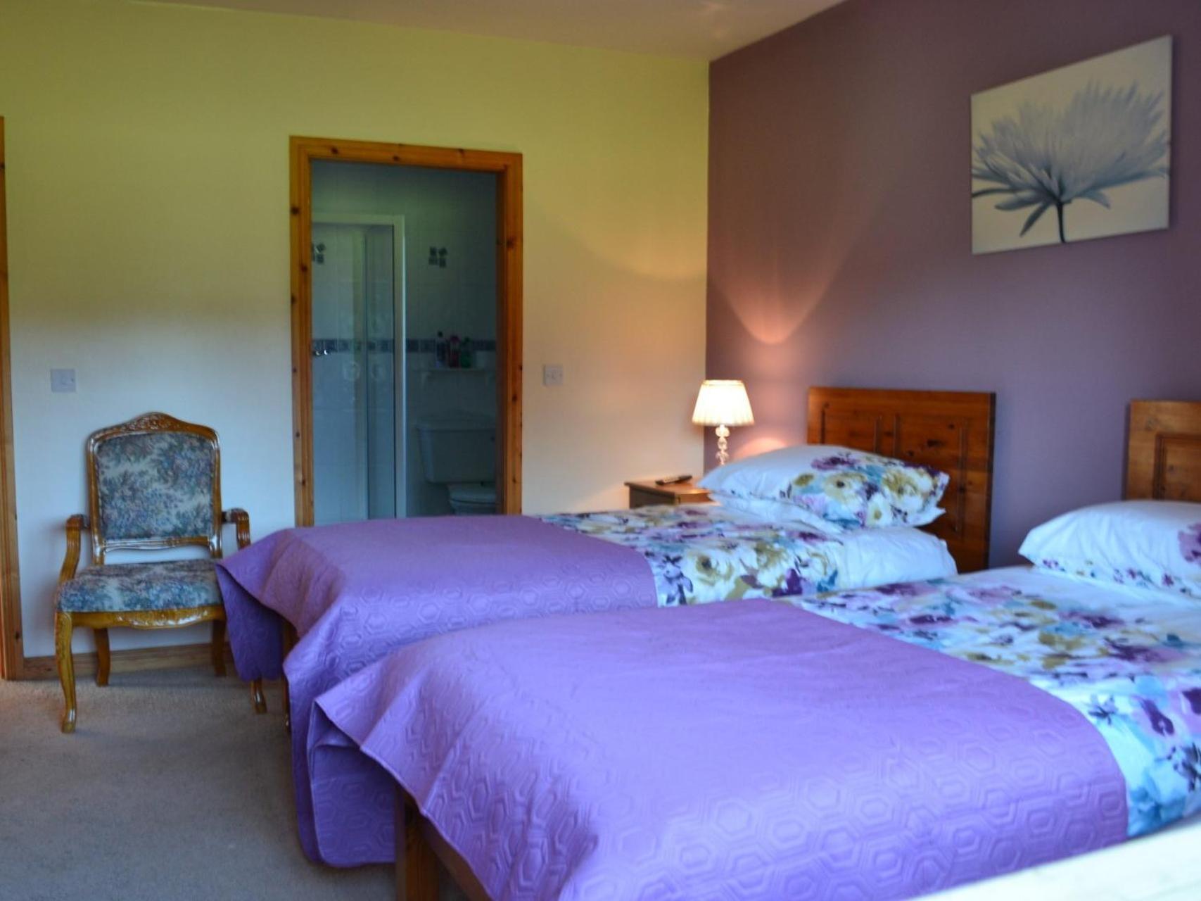 Manorview B&B Cookstown Pokój zdjęcie
